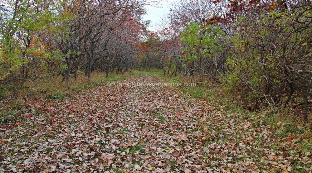 Photo of Sebewaing County Park, Michigan, United States